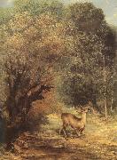Gustave Courbet Deer oil painting artist